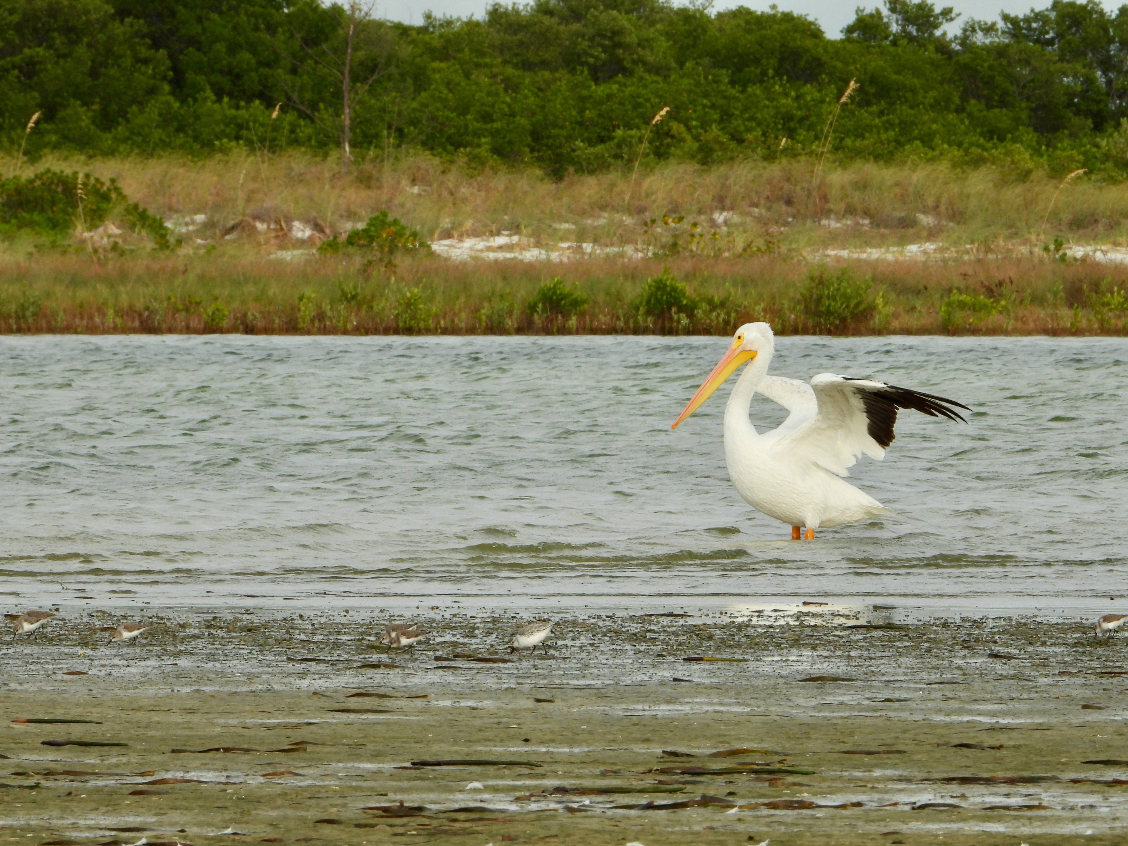 Fort De Soto Park